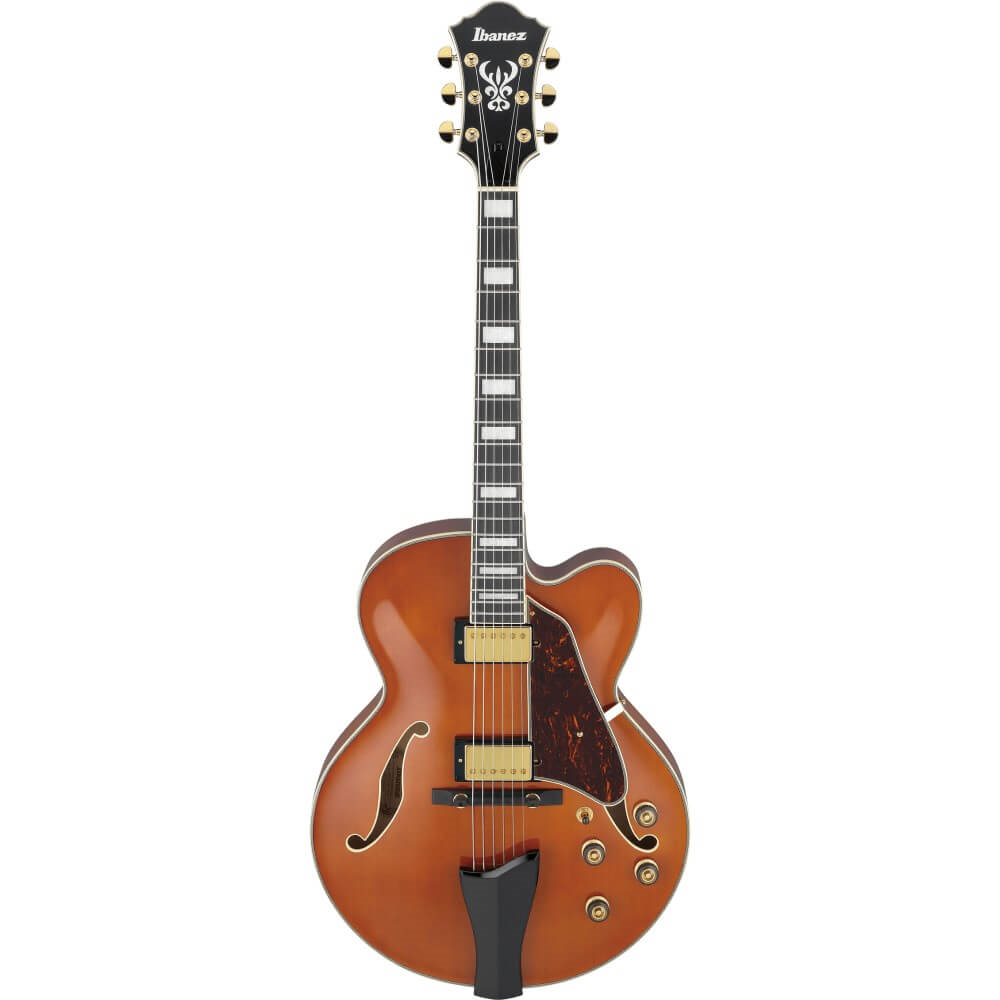 Buy Ibanez Artcore Expressionist AF95 Hollowbody Electric Guitar