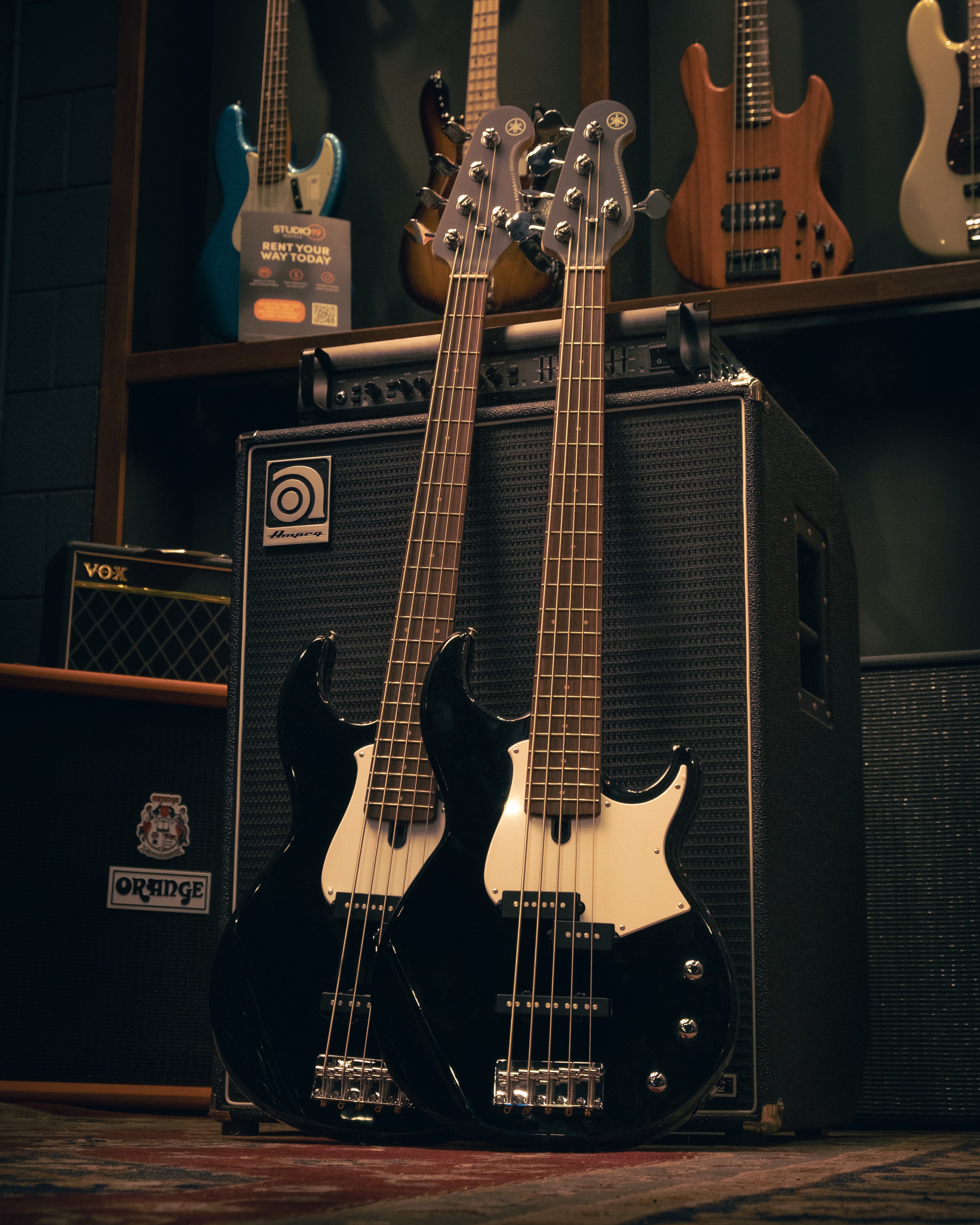 5 String Bass Guitars