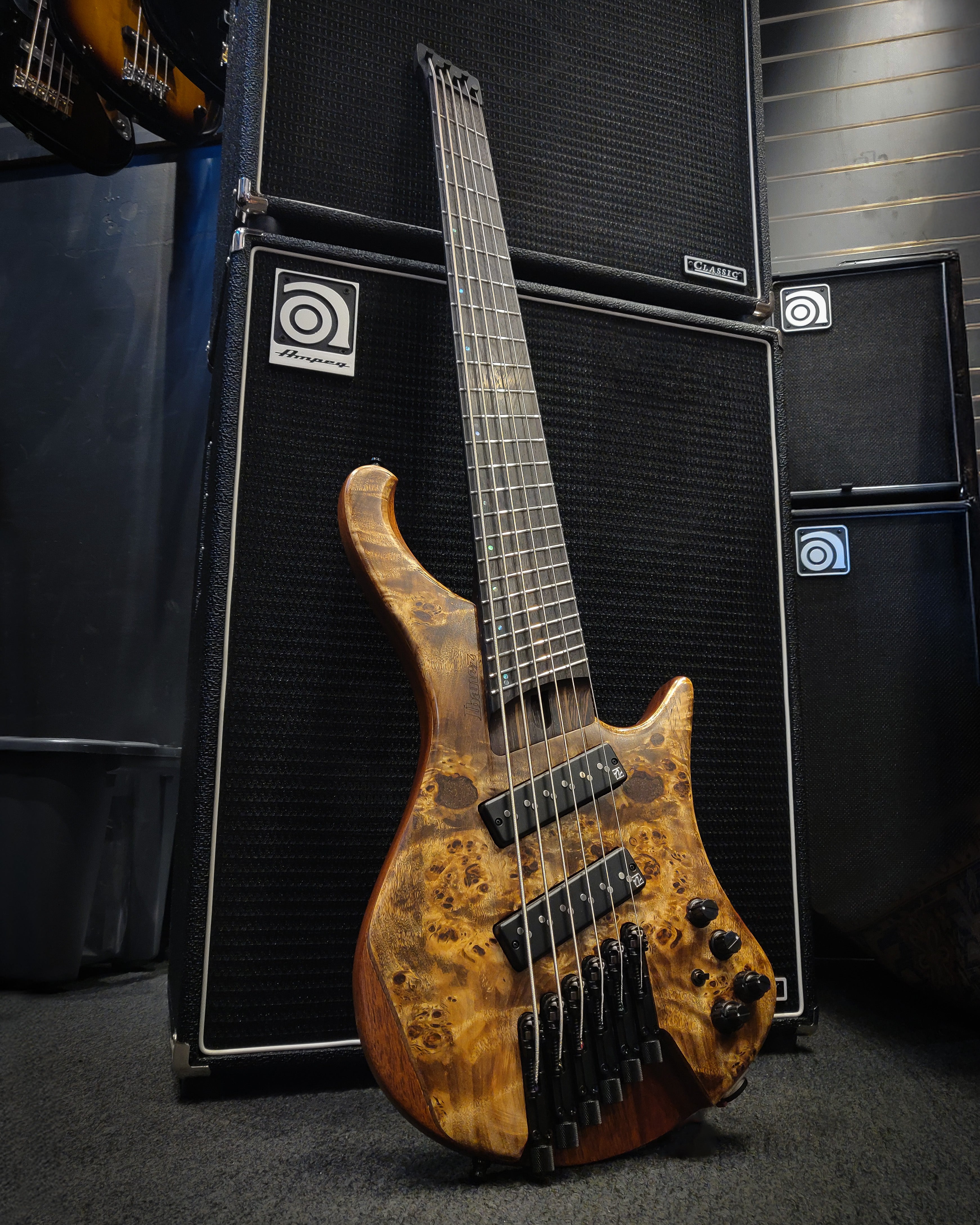 6+ String Bass Guitars