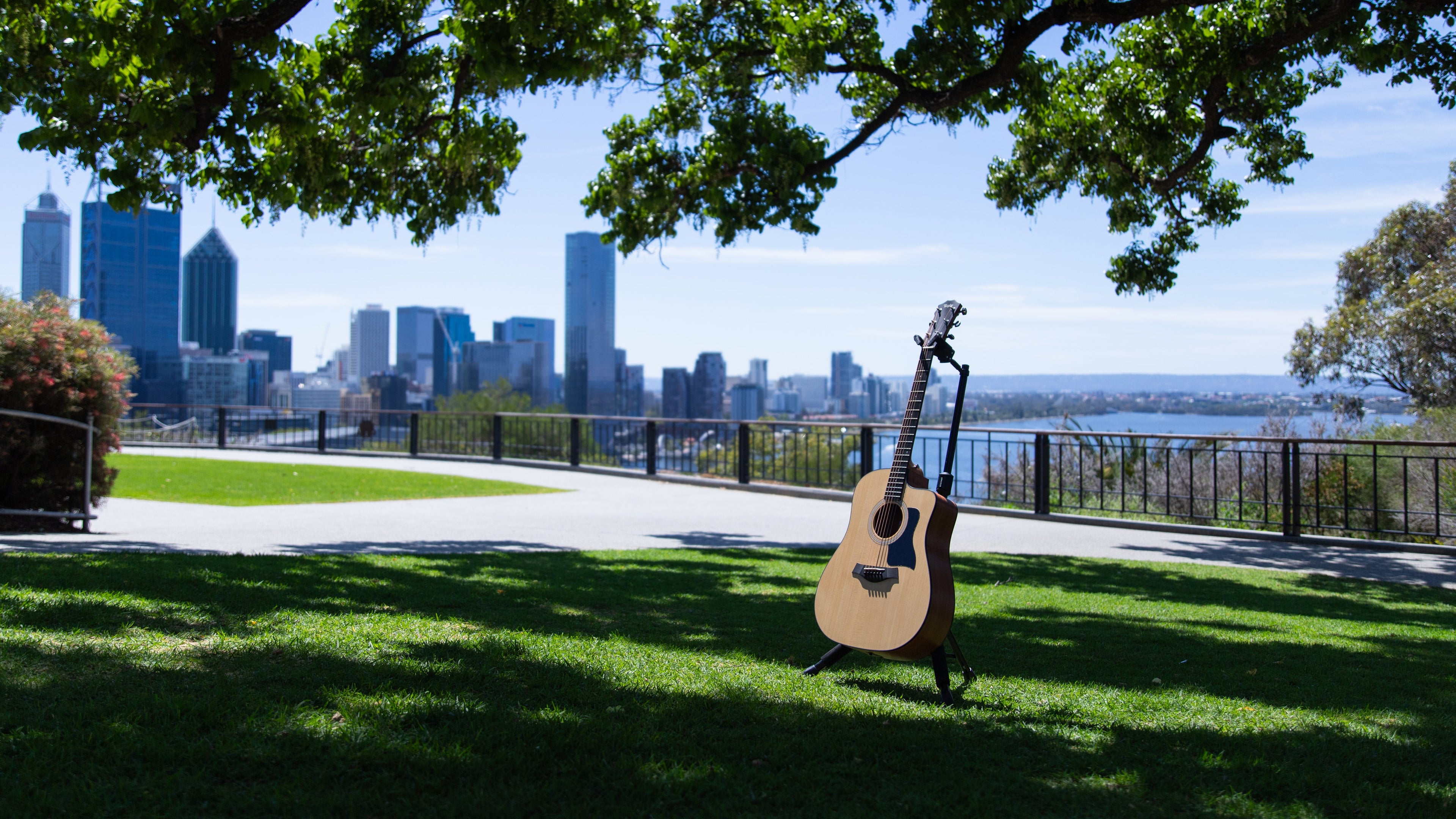 Acoustic & Classical Guitars