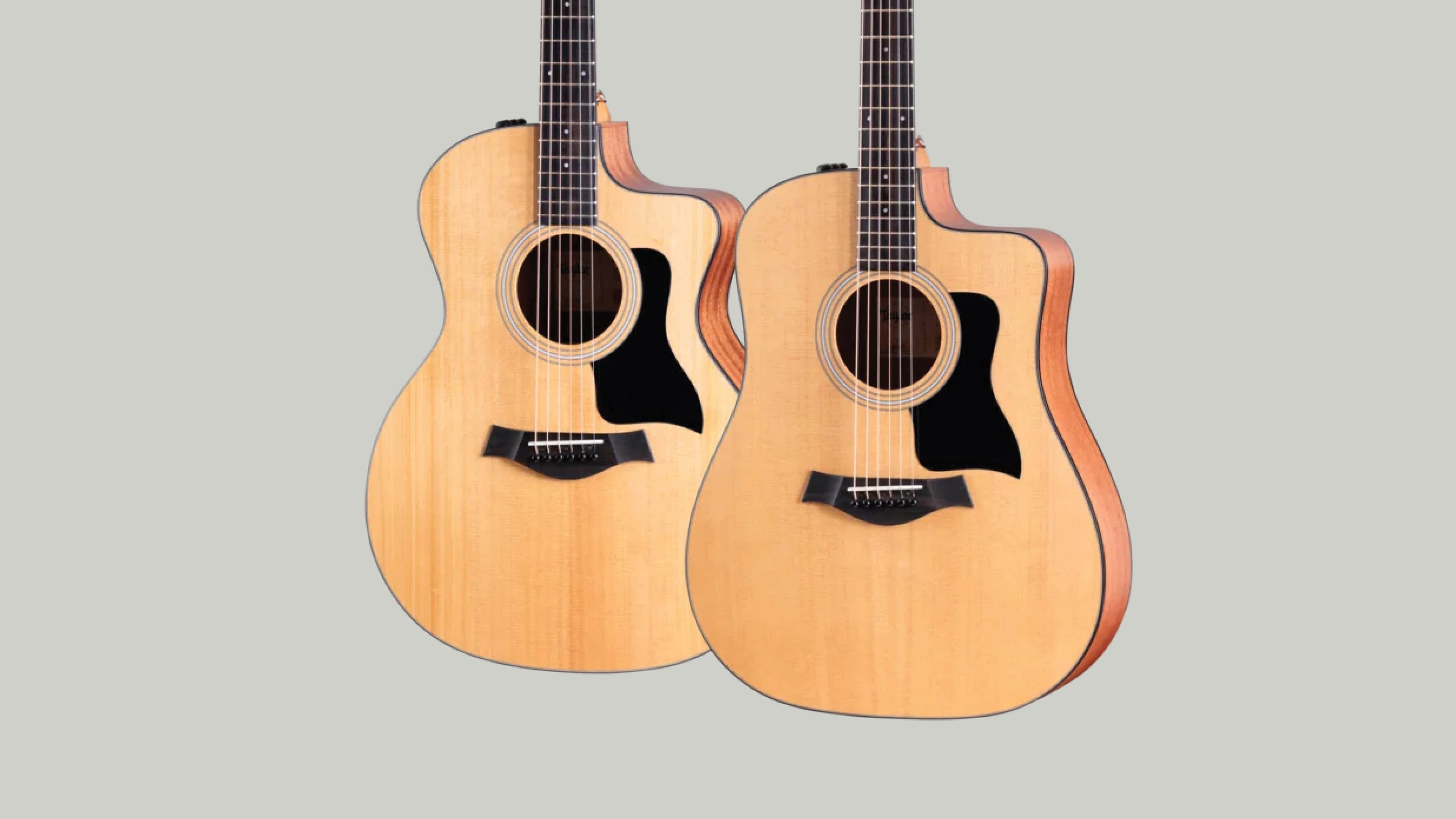 Taylor 100 Series