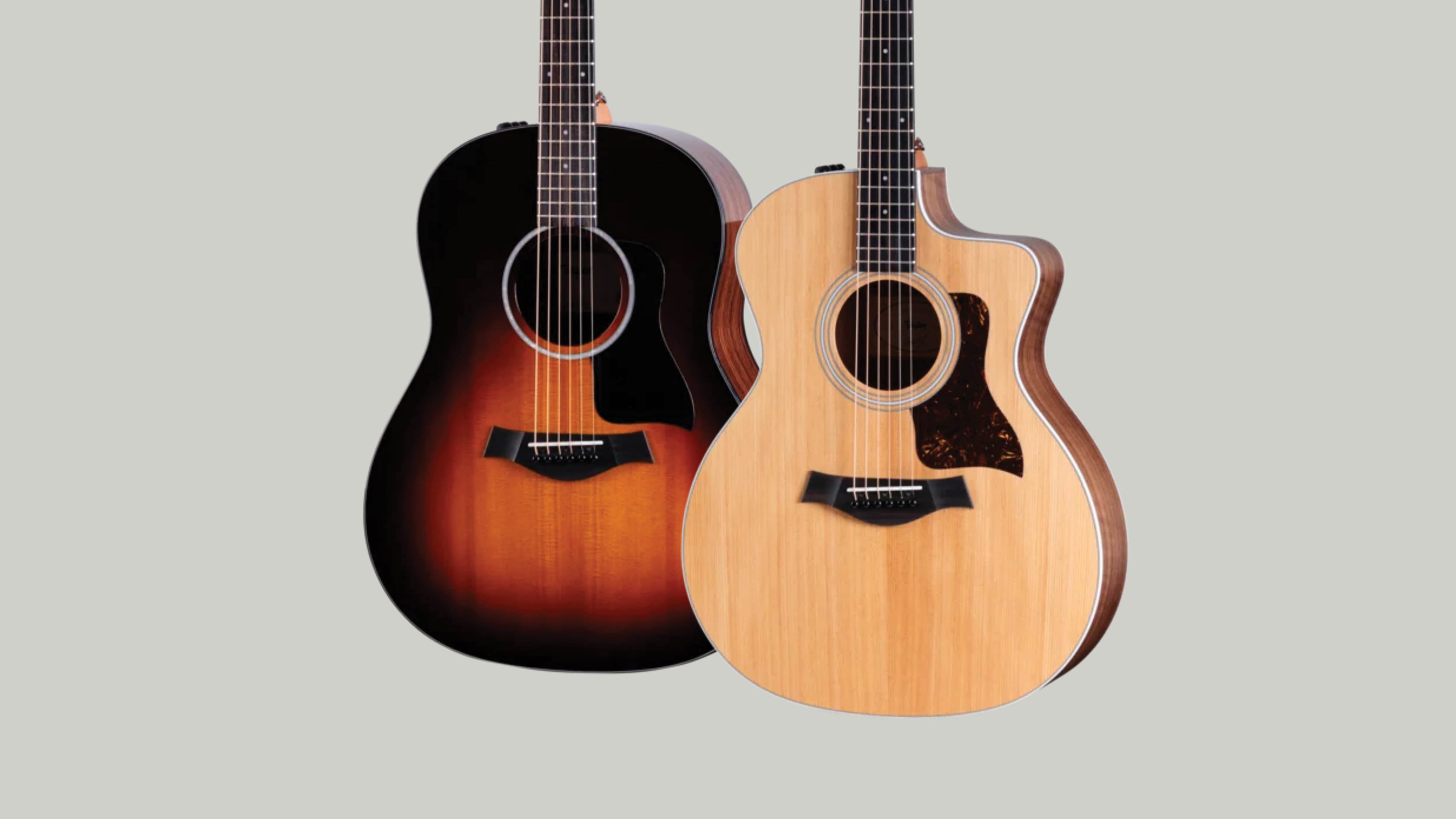 Taylor 200 Series