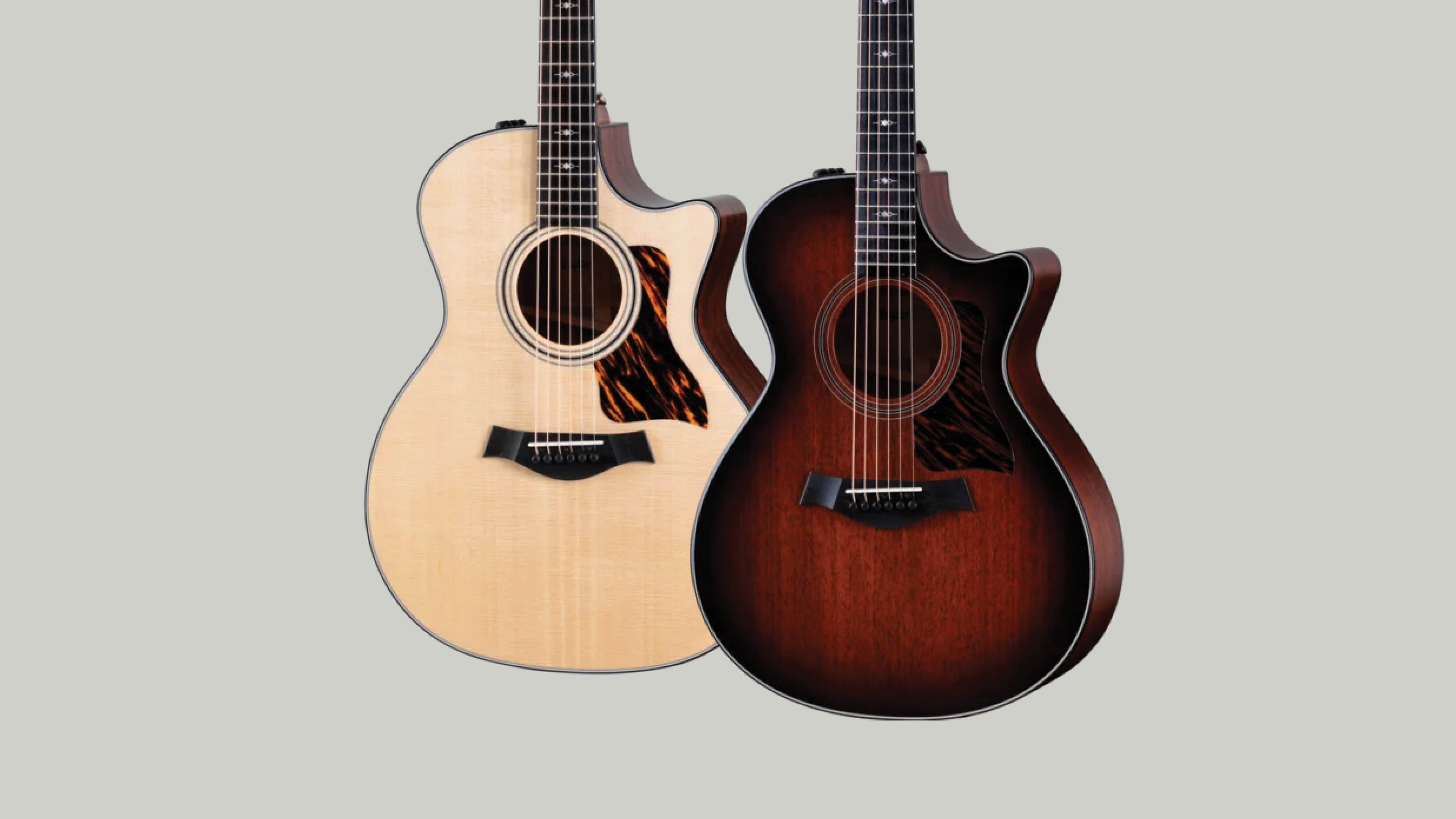 Taylor 300 Series