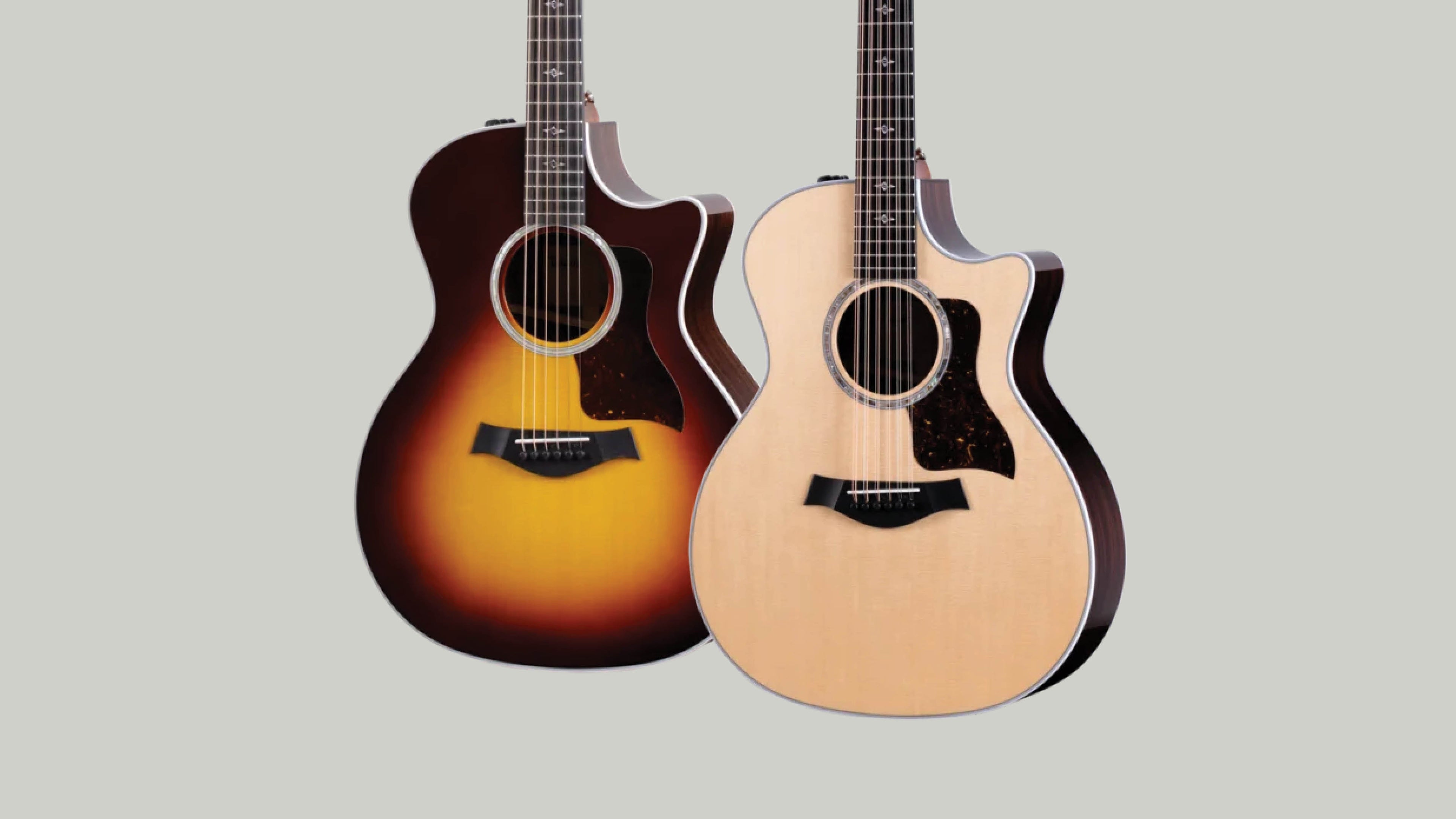 Taylor 400 Series