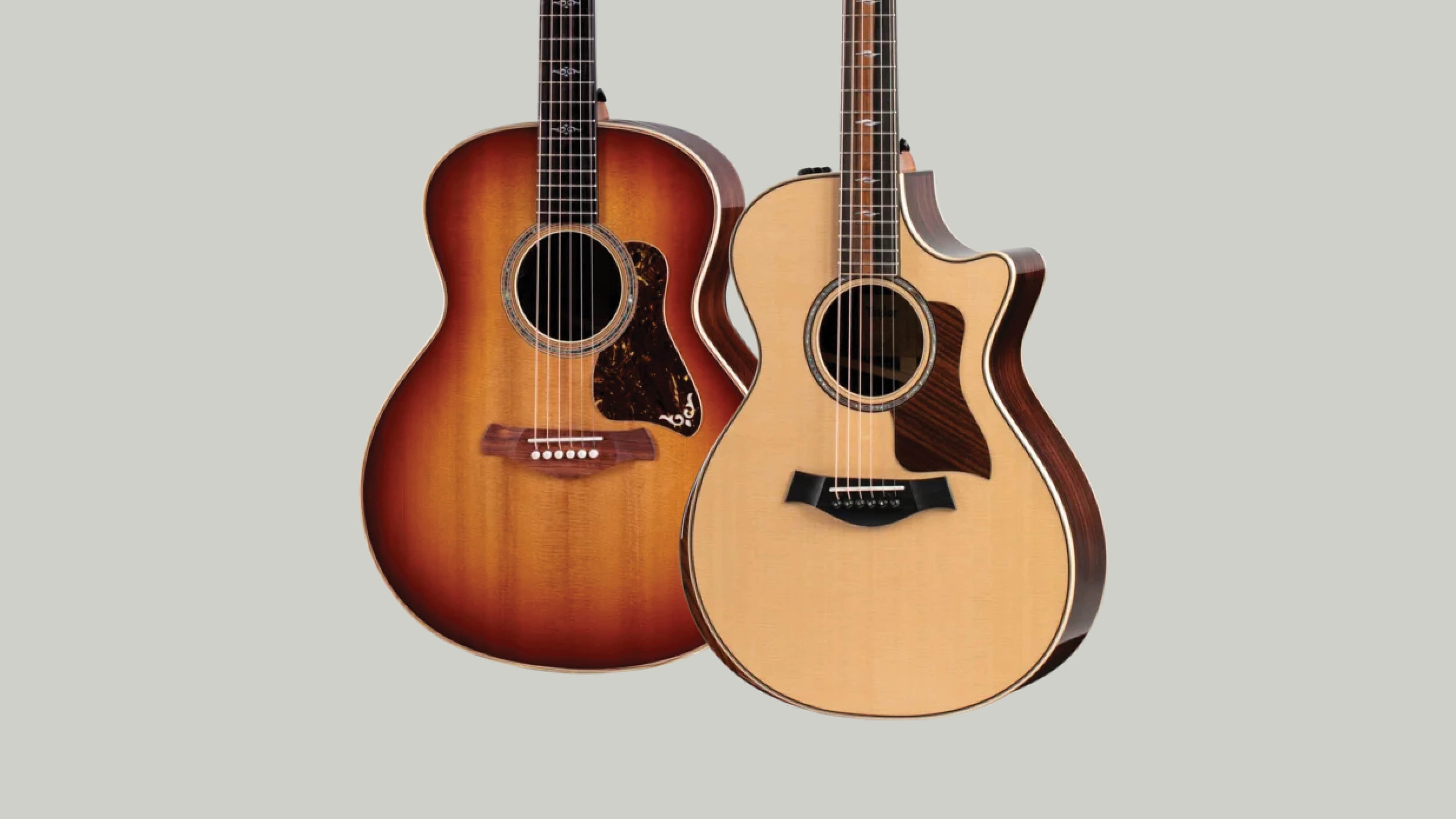 Taylor 800 Series