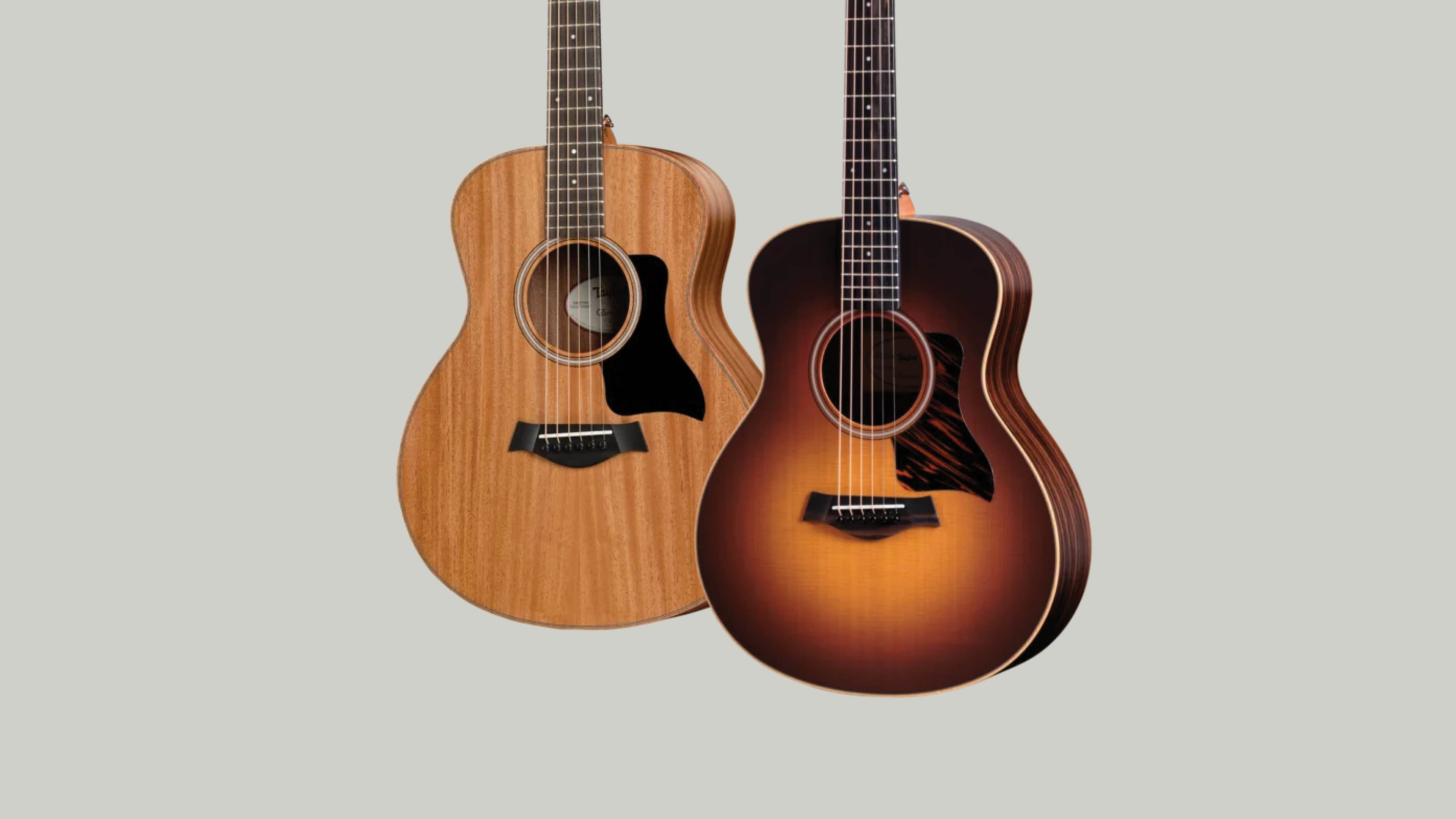 Taylor GS Mini