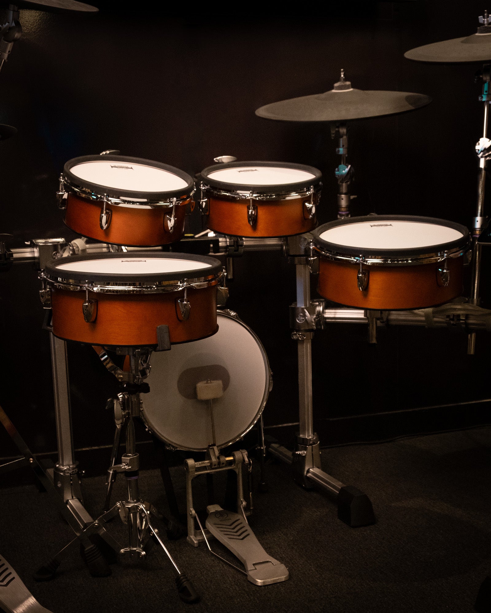 Musical Instruments - Perth