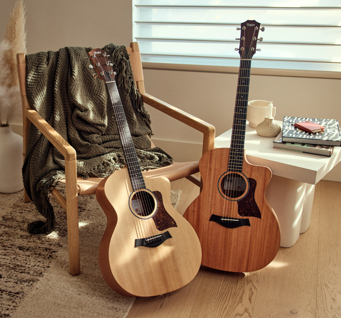 Taylor 14ce & 24ce