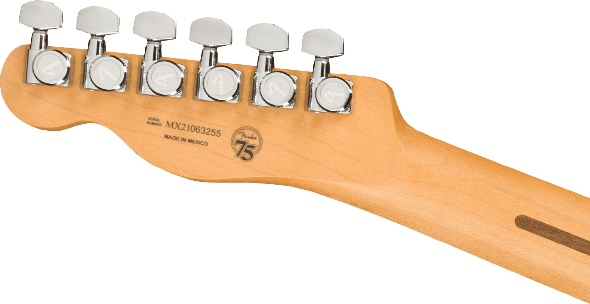 Fender Player Plus Nash Telecaster Electric Guitar w/Pau Ferro Fretboard - Opal Spark