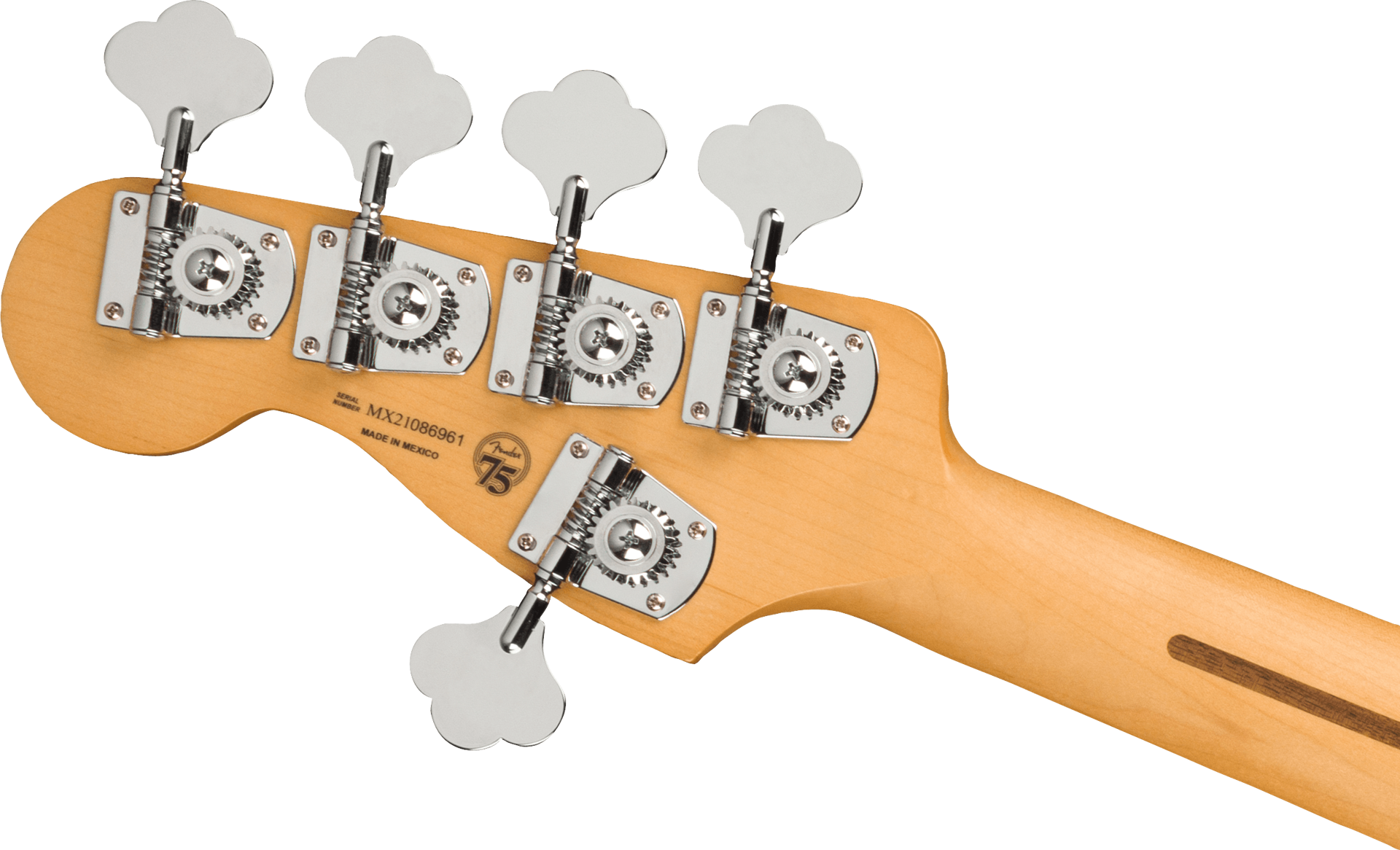 Fender Player Plus Jazz Bass V w/Maple Fretboard - Cosmic Jade