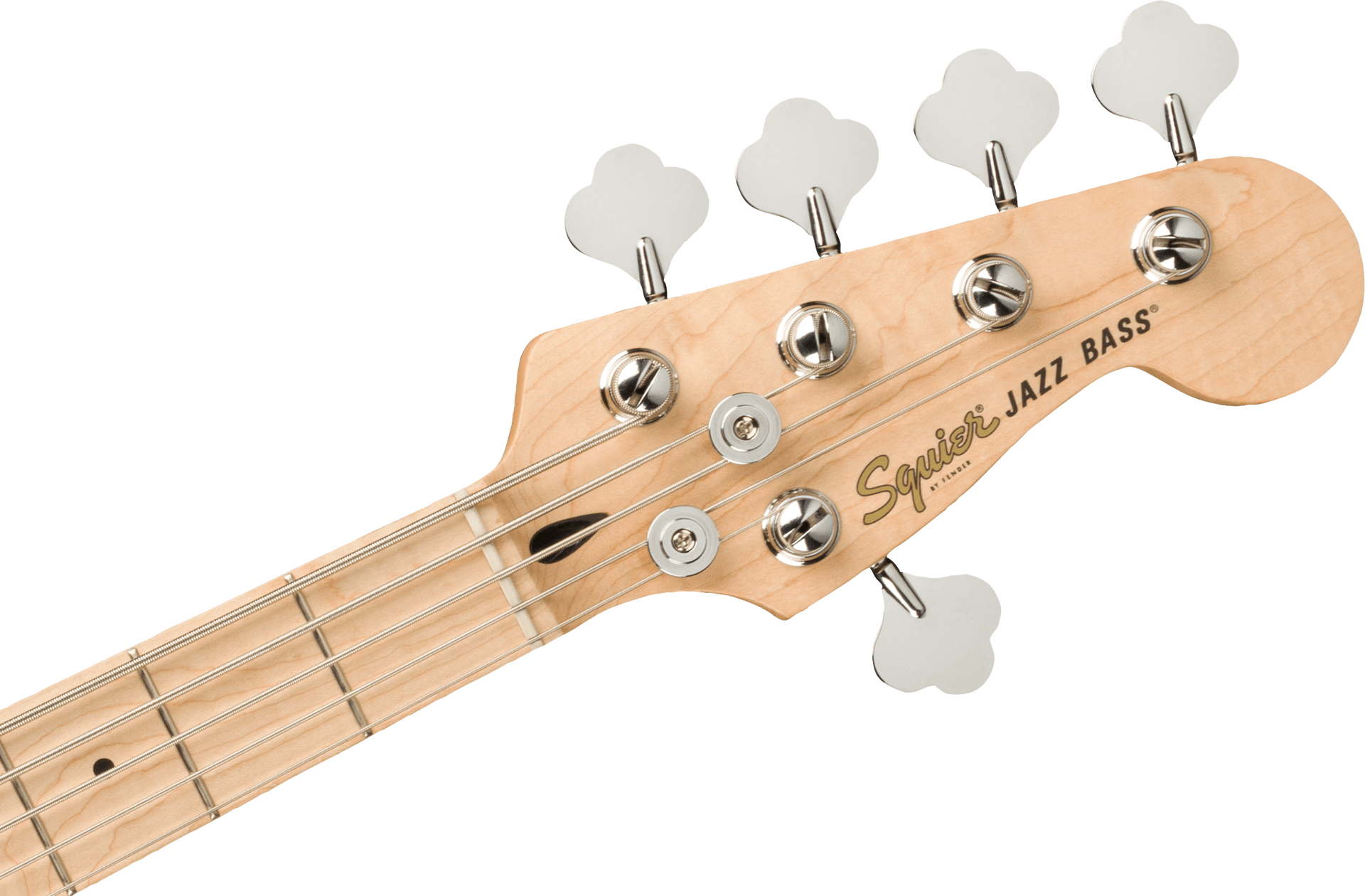 Squier Affinity Series Jazz Bass V, Maple Fingerboard, White Pickguard, Olympic White