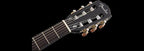 Fender CN 140SCE Nylon Thinline Walnut Fretboard - Black w/case