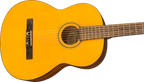 Fender ESC105 Classical Guitar with nylon strings and traditional wood finish, designed for educational and beginner players.