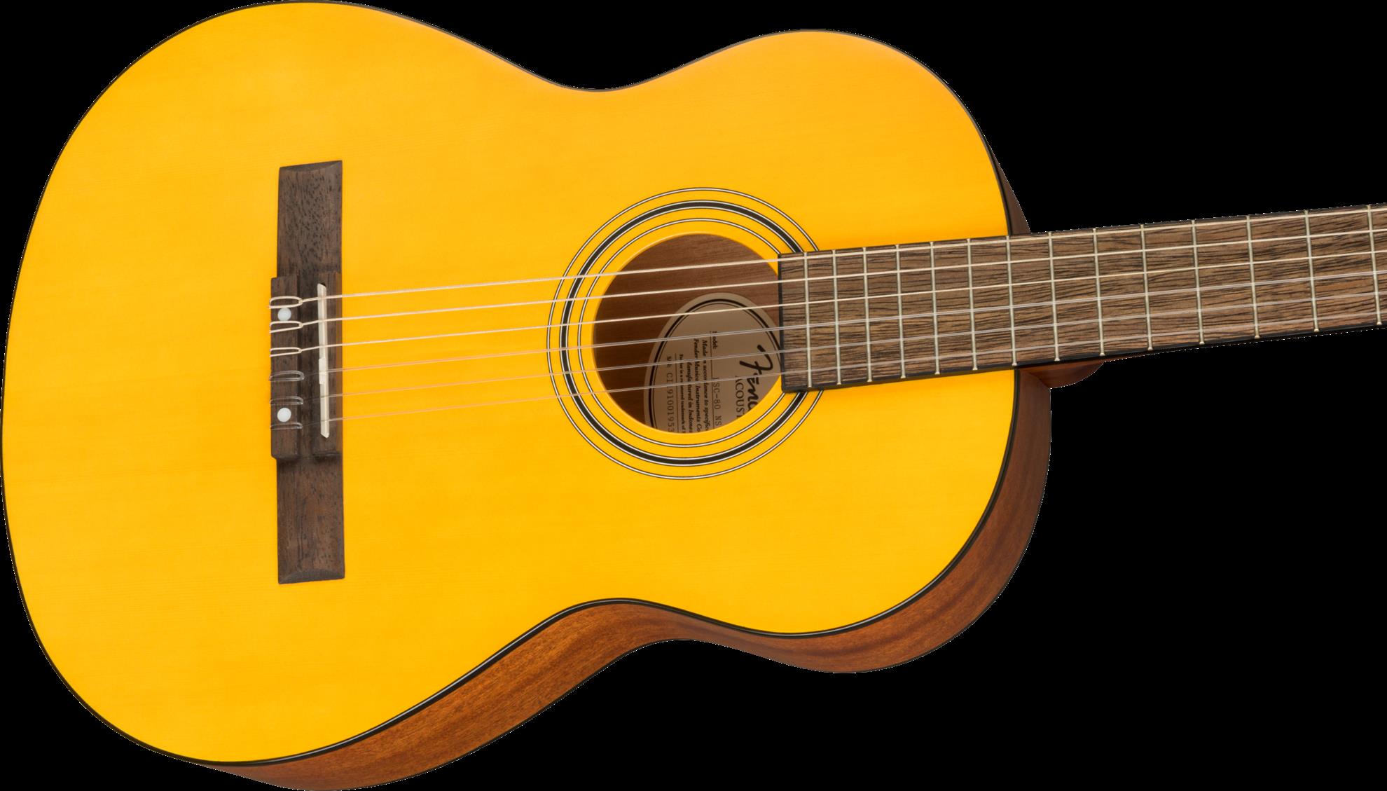 Fender ESC80 Educational WN