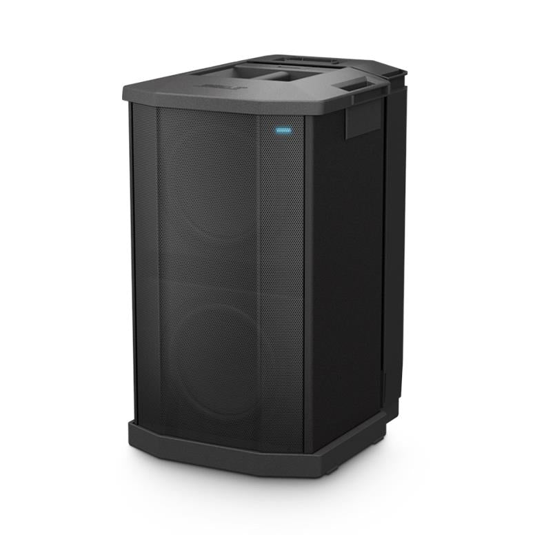 Bose F1 Subwoofer (1000 Watts)