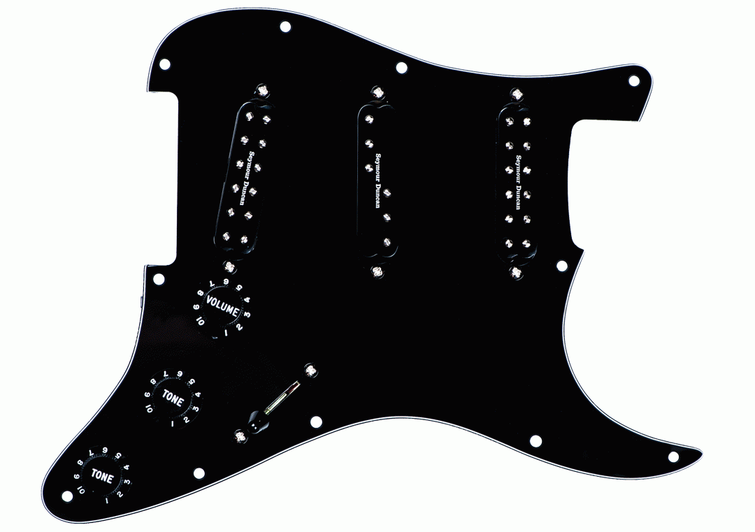 SD PICKGRD ASSY EVERYTHING AXE BLACK