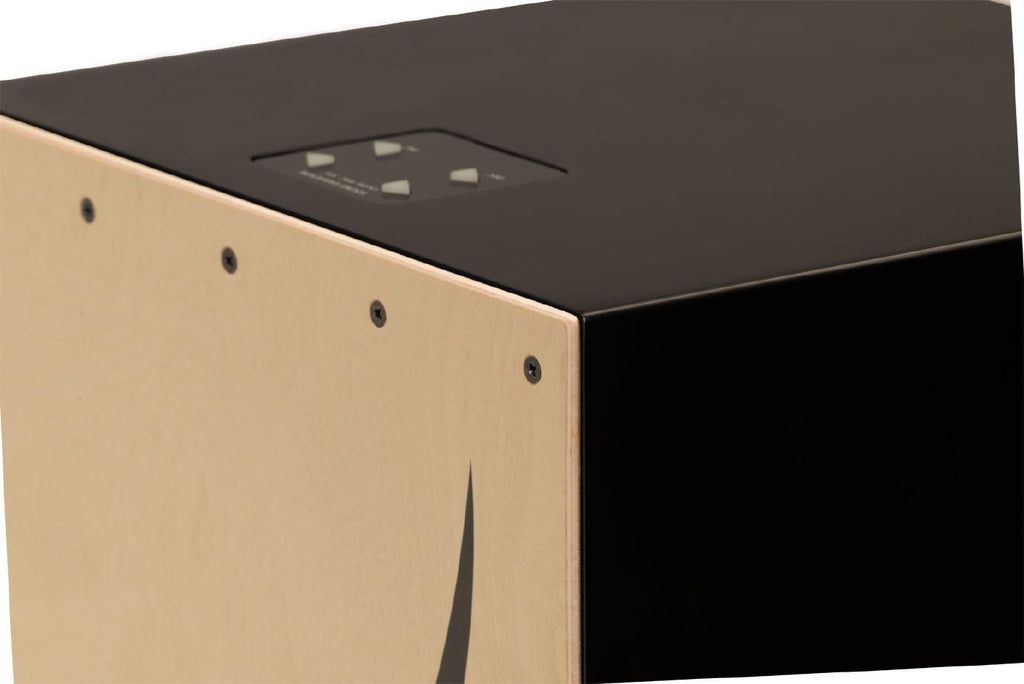 Roland ELCajon EC-10 Electronic Layered Cajon (EL Cajon EC10)