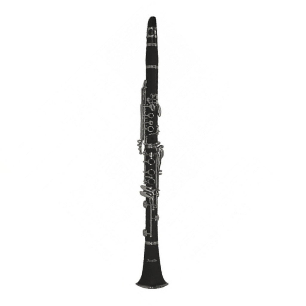 Fontaine FBW210 B-flat Clarinet (Bb)