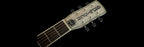 Gretsch G9241 Alligator Biscuit Round-Neck Acoustic/Electric Resonator w/Fishman Nashville Pickup - 2 Colour Sunburst