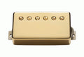 Seymour Duncan APH-2N Slash Alnico II Pro Humbucker in Gold
