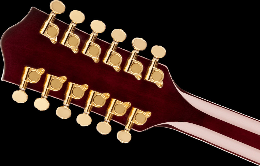 Gretsch G5422G-12 Electromatic Classic Hollow Body Double-Cut 12-String with Gold Hardware