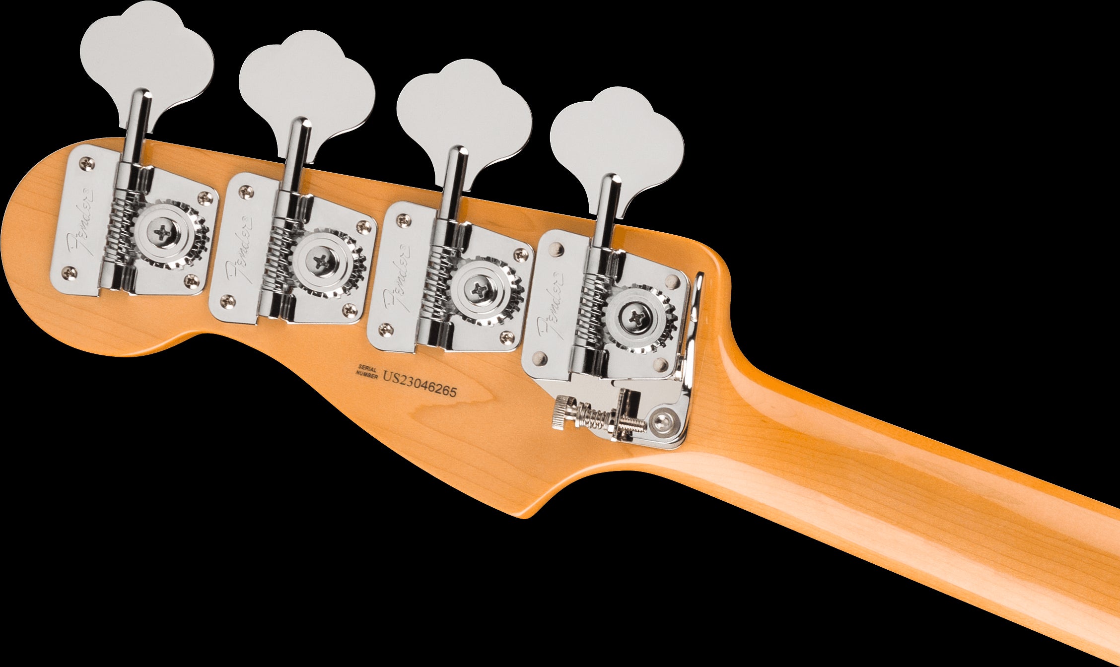 Fender Tony Franklin Fretless P Bass w/Ebony Fretboard - Black