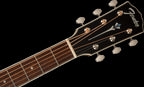 Fender PD 220E Dreadnought Ovangkol FB Natural