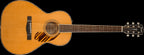 Fender PS 220E Parlor Ovangkol FB Natural