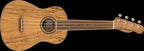 Fender Zuma Exotic Concert Ukulele Walnut Fretboard - Spalted w/Maple