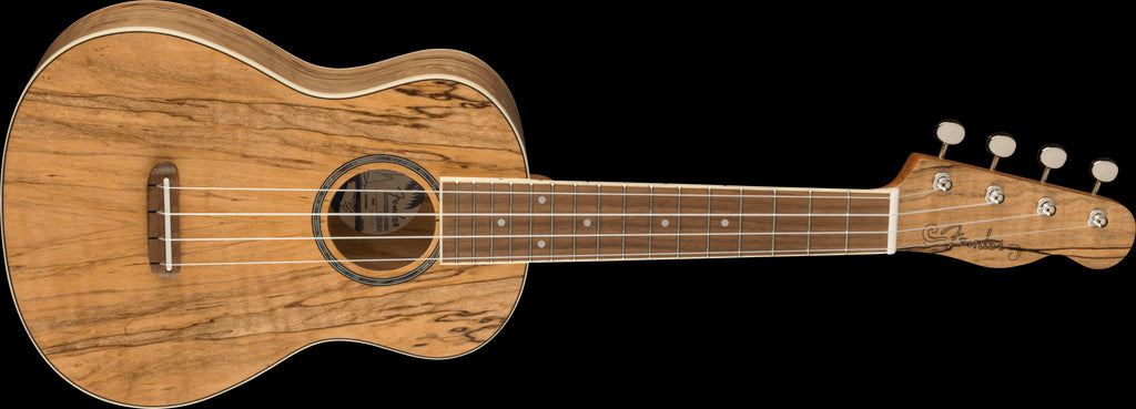 Fender Zuma Exotic Concert Ukulele Walnut Fretboard - Spalted w/Maple