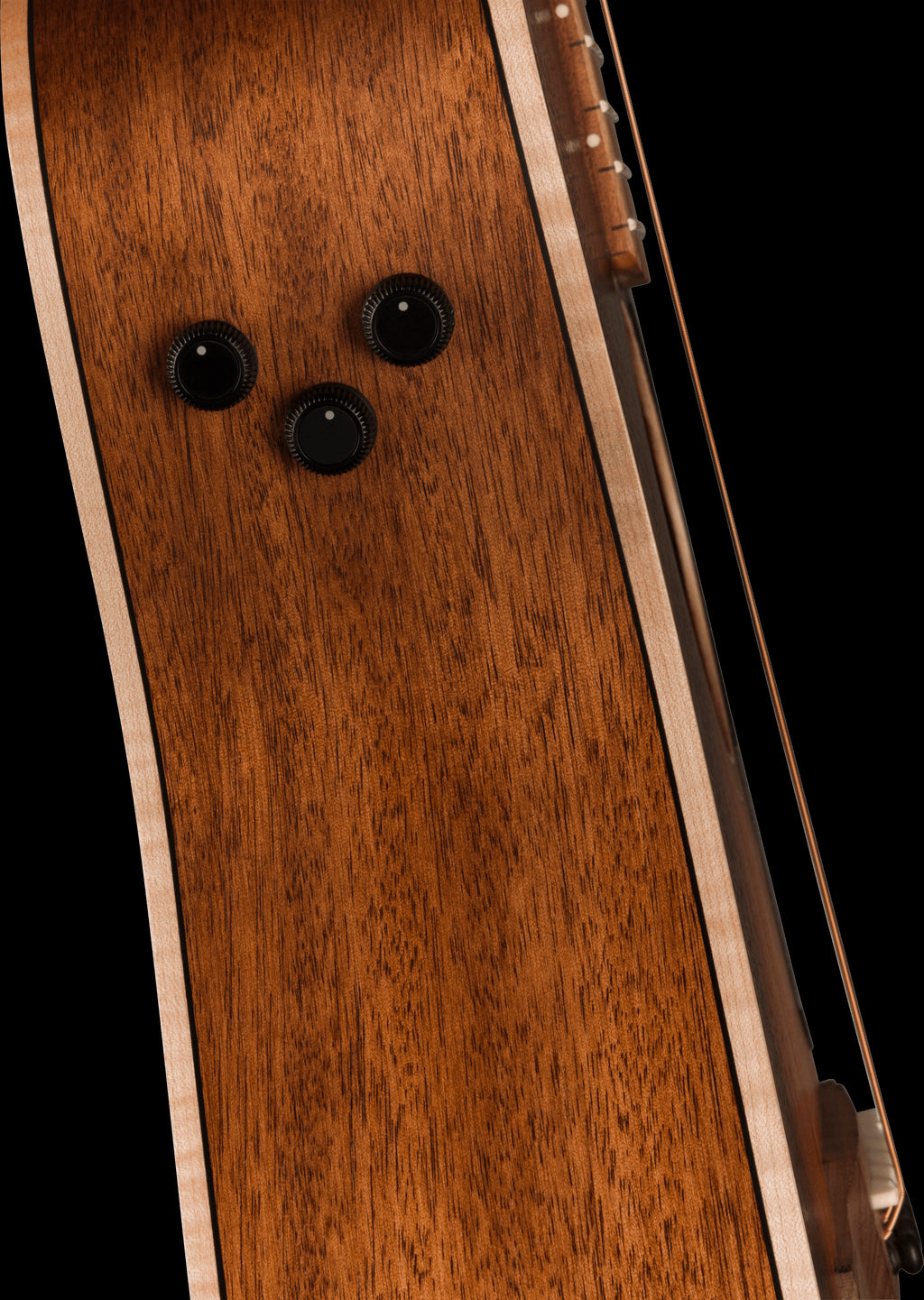 Fender Malibu Special Acoustic Guitar - Black Pickguard - Honey Burst