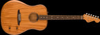 Fender Highway Series Dreadnought Acoustic Guitar with Fishman Pickup - All-Mahogany