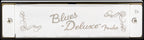 Fender Blues Deluxe Harmonica - Key of B Flat