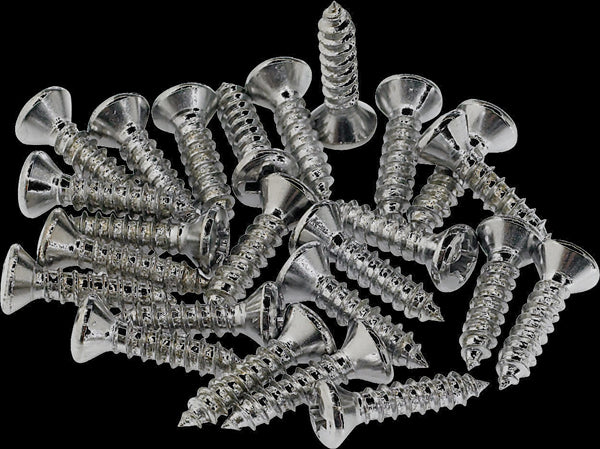 PICKGUARD SCREWS (24)