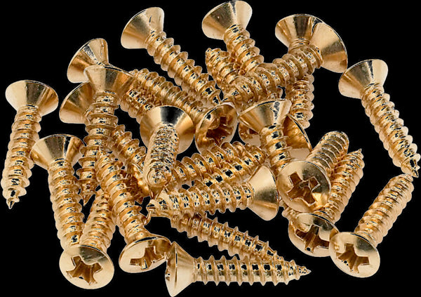 FENDER PICKGUARD SCREWS/JACK FERRULE SCREWS/BACKPLATE MOUNTING SCREW - GOLD (24)