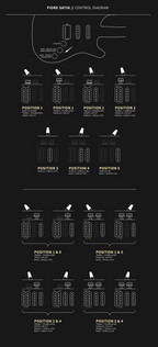 PRS Fiore Electric Guitar Hibiscus Satin