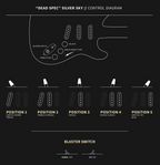 PRS "Dead Spec" Limited Edition John Mayer Silver Sky Guitar in Satin Nitro