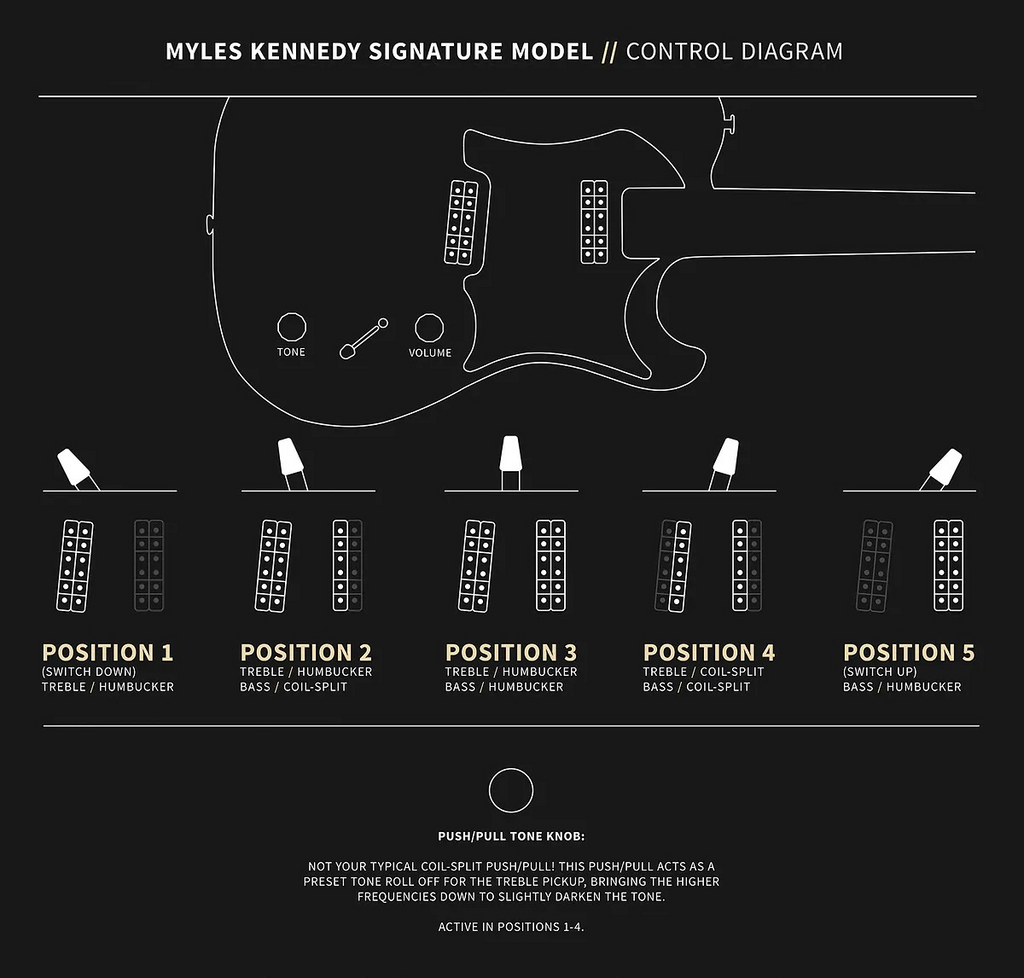 PRS Myles Kennedy Electric Guitar  Platinum Metallic