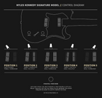 PRS Myles Kennedy Electric Guitar  Platinum Metallic