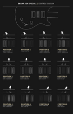 PRS Swamp Ash Special Electric Guitar Black Doghair Smokeburst