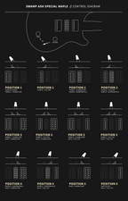 PRS Swamp Ash SpecialMaple Electric Guitar Black Doghair Smokeburst