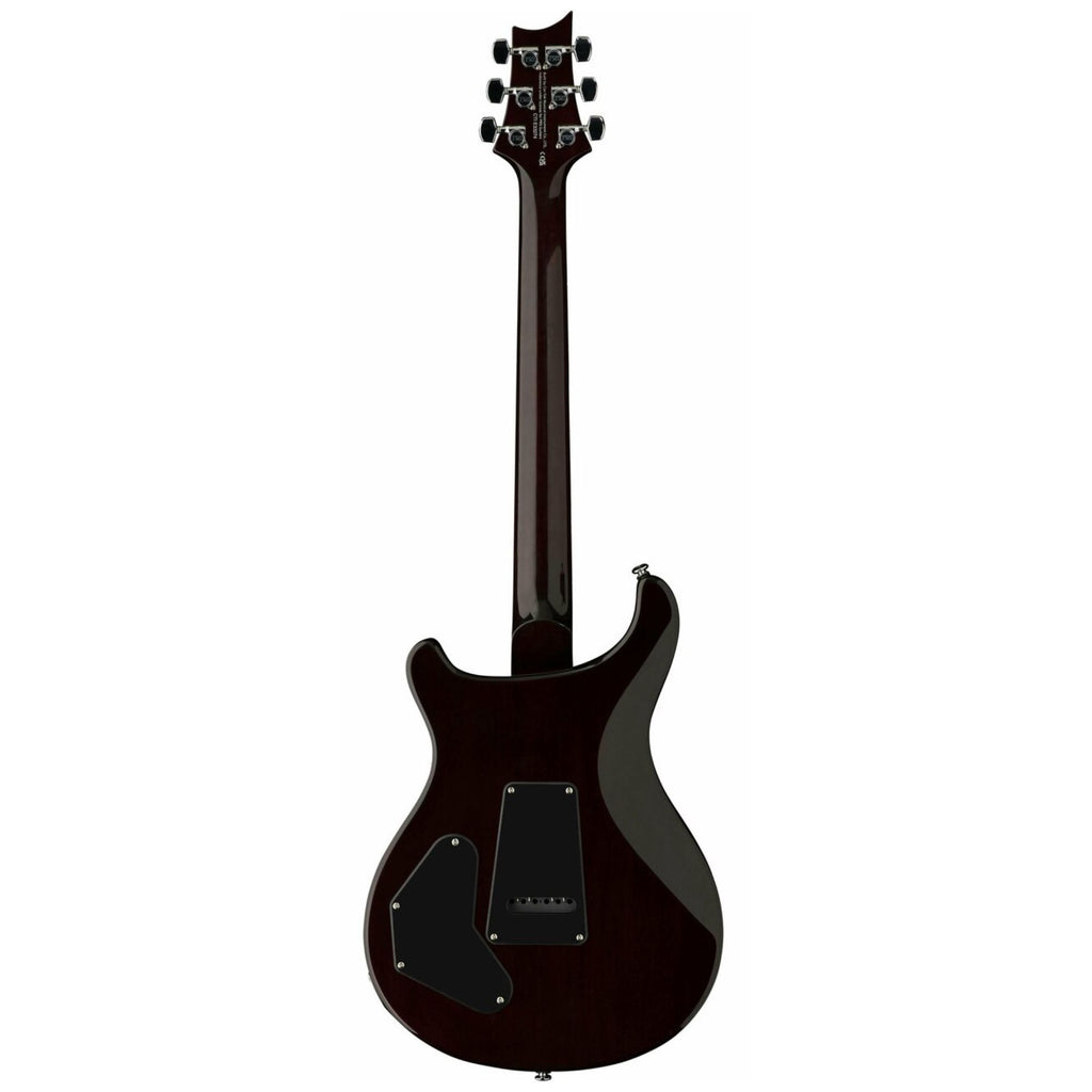 PRS SE DGT David Grissom Signature electric guitar with bird inlays in McCarty Tobacco Sunburst finish, showcasing its body and neck detail.