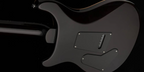 PRS SE Custom 24 Electric Guitar - Black Gold Burst