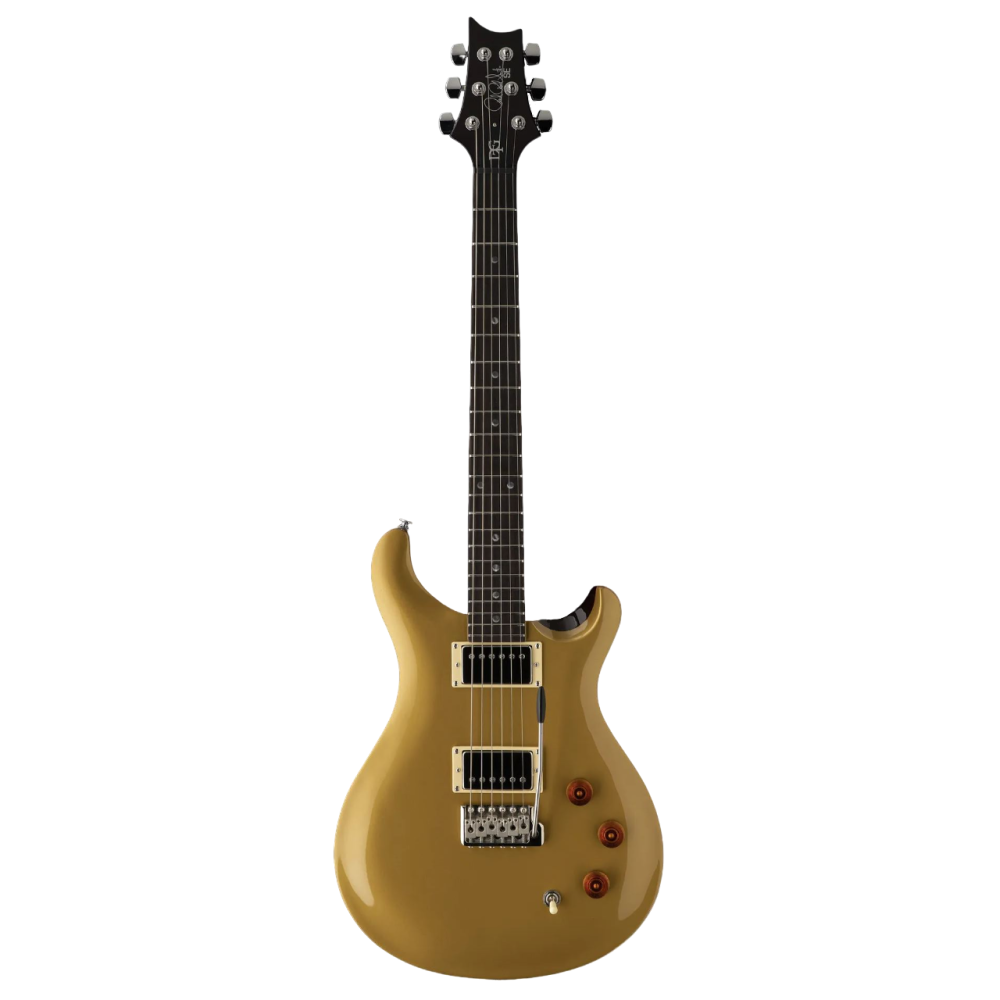 PRS SE DGT David Grissom Signature Electric Guitar with Moon Inlays in Gold Top