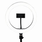 Gator 10-Inch LED Desktop Ring Light Stand with Phone Holder and Compact Weighted Base