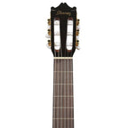 Ibanez GA6CE Classical Guitar in Amber