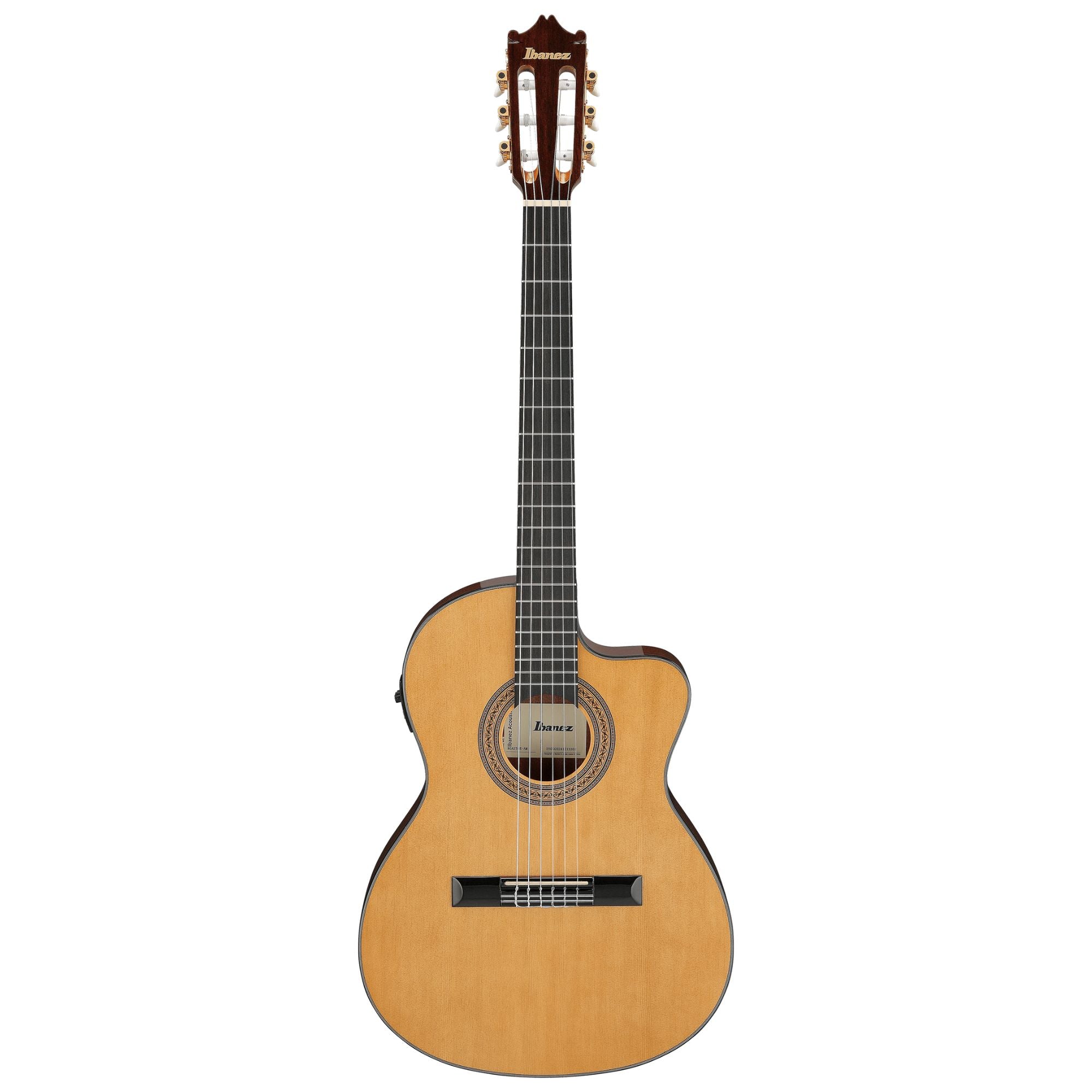 Ibanez GA5TCE Classical Guitar - Natural With Pick up