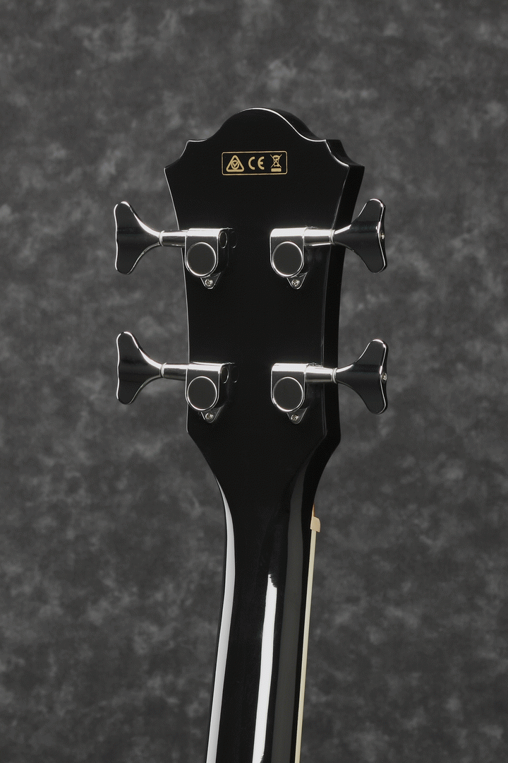 Ibanez AEB8E BK Acoustic Bass Guitar Black