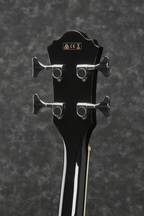 Ibanez AEB8E BK Acoustic Bass Guitar Black