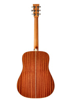 Tasman TA100 Acoustic Guitar with Case